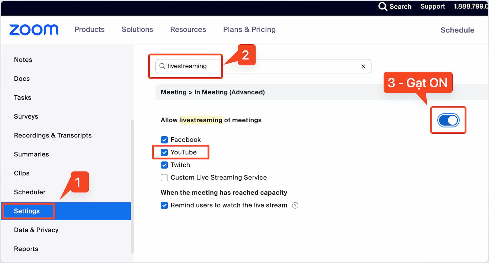 Bật cài đặt phát Live Zoom lên Youtube