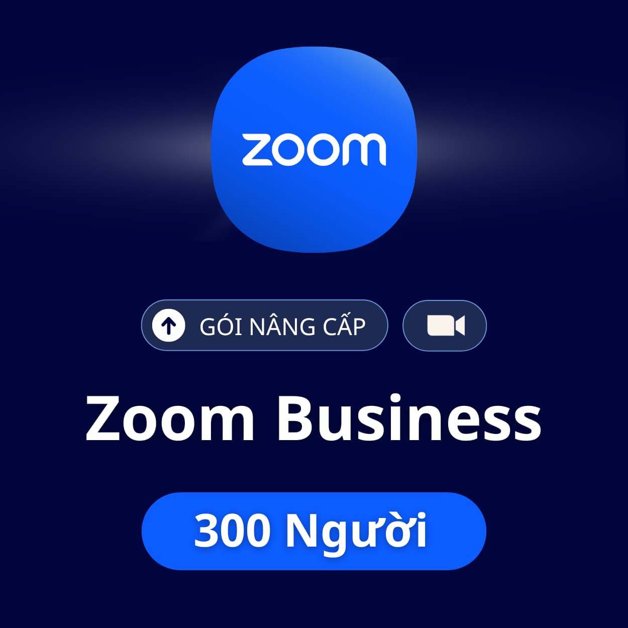 Zoom Meeting 300 Người (Zoom Business)