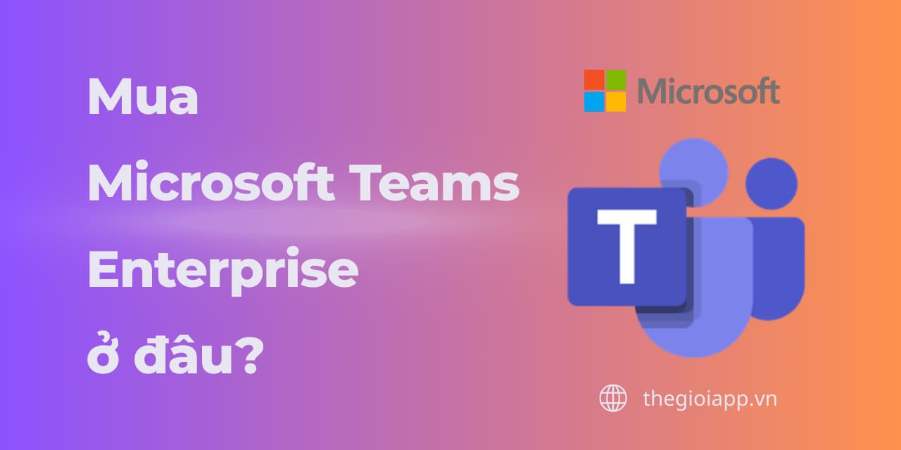 Mua Microsoft Teams Enterprise ở đâu uy tín? Kinh nghiệm tránh mất tiền oan