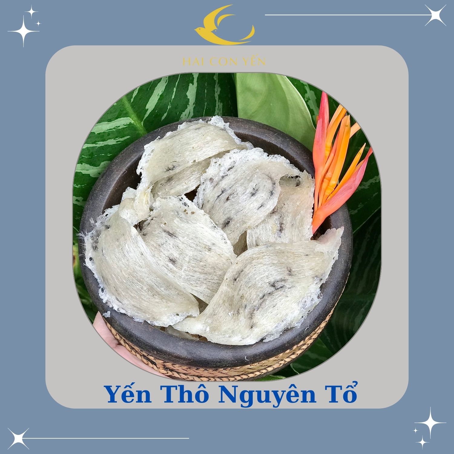 Yến thô nguyên tổ