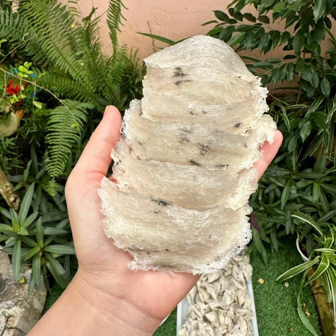 Siêu phẩm đầu tuần 